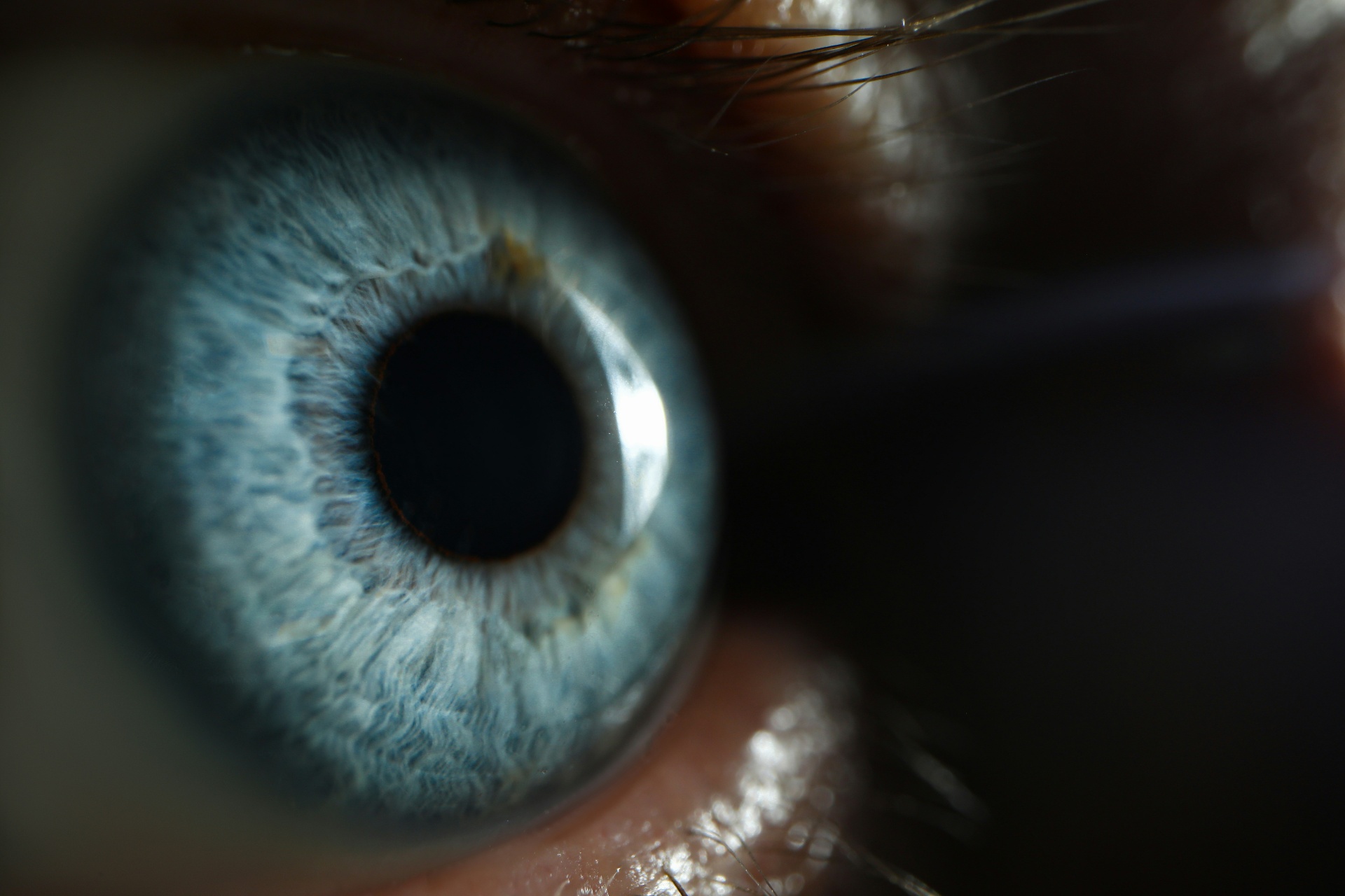 Close-up of a human eye